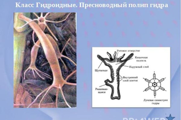 Кракен даркнет маркет ссылка сайт