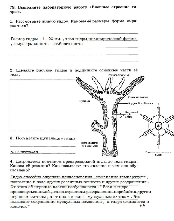 Кракен зеркало рабочее на сегодня krakenat2krnkrnk com