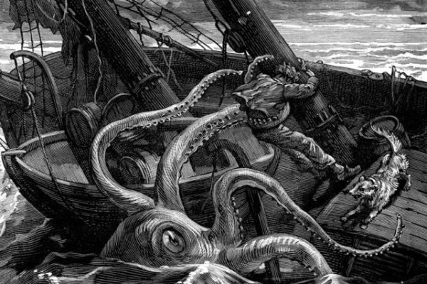 Kraken как найти ссылку